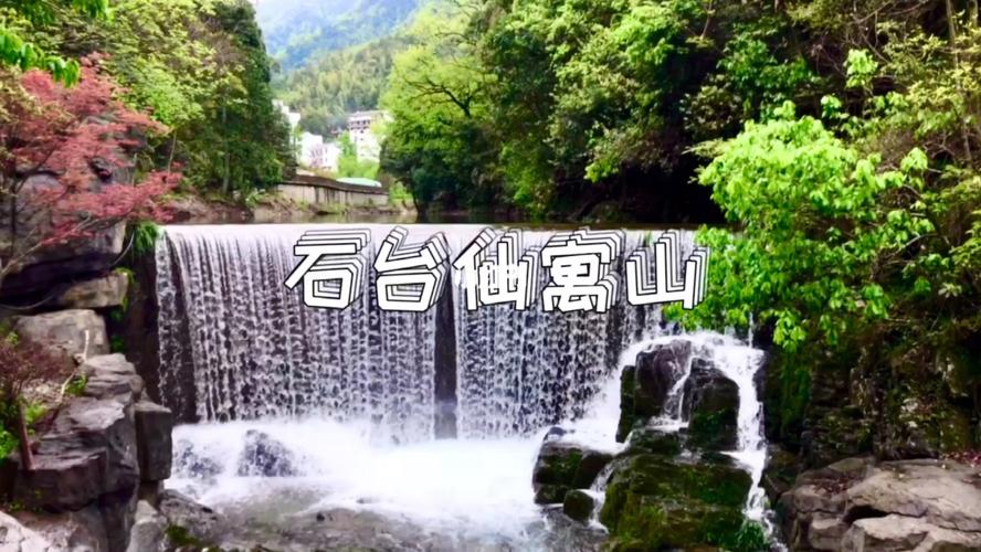 王慧生老师佳作欣赏!(图2)