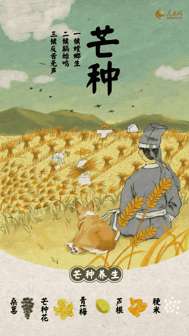 【潇湘文学社】潇湘如兰诗社《芒种》（总363期）（图12）