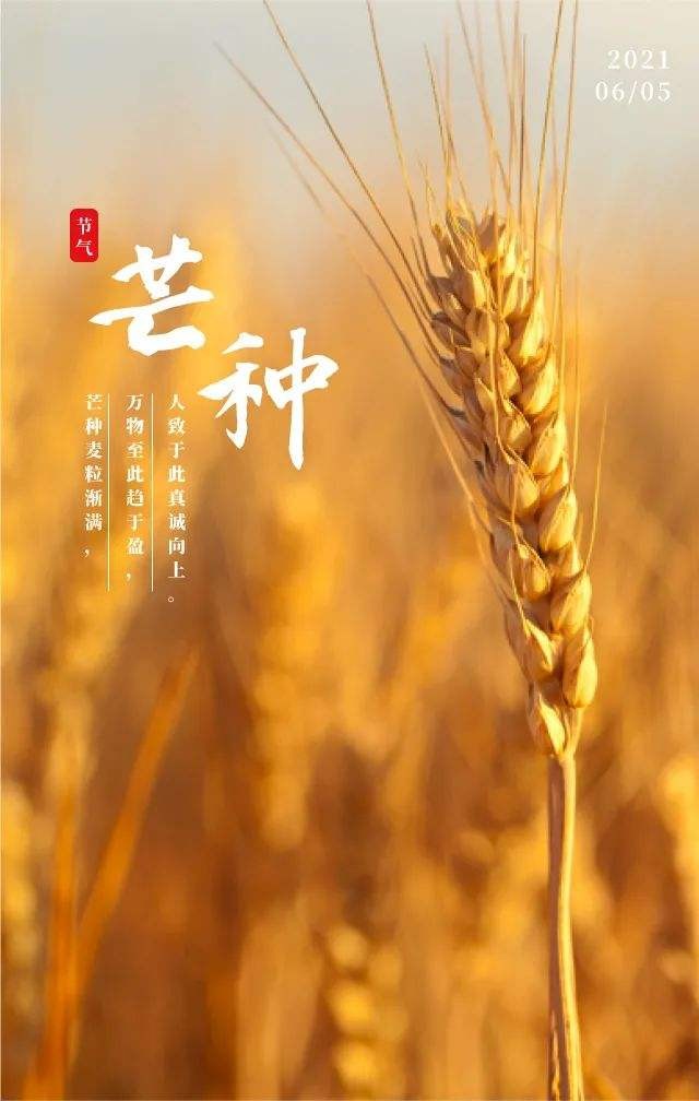 【潇湘文学社】潇湘如兰诗社《芒种》（总363期）（图25）