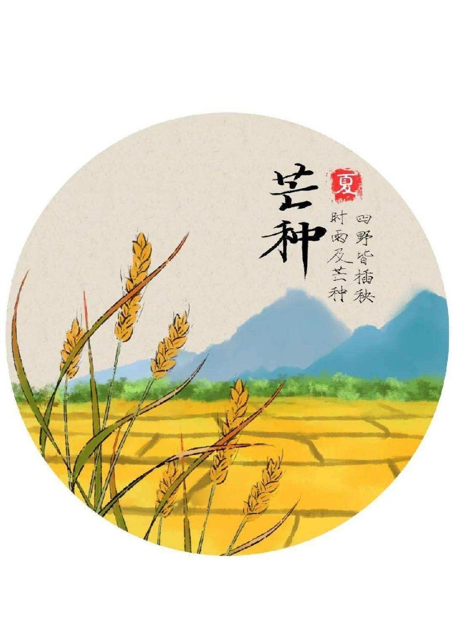 【潇湘文学社】潇湘如兰诗社《芒种》（总363期）（图27）