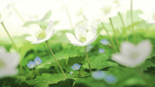 【潇湘文学社】潇湘陶菊诗社《茉莉花》(总364期)(图11)