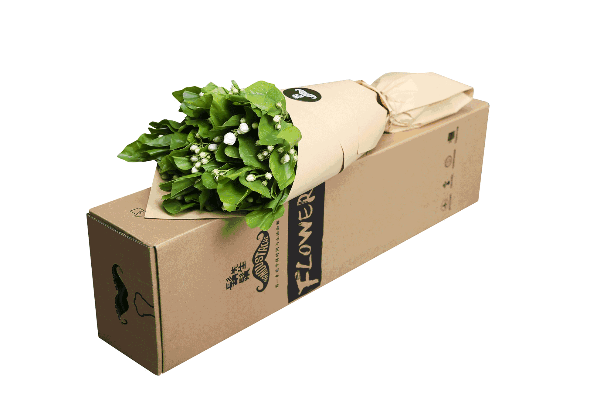 【潇湘文学社】潇湘陶菊诗社《茉莉花》(总364期)(图18)