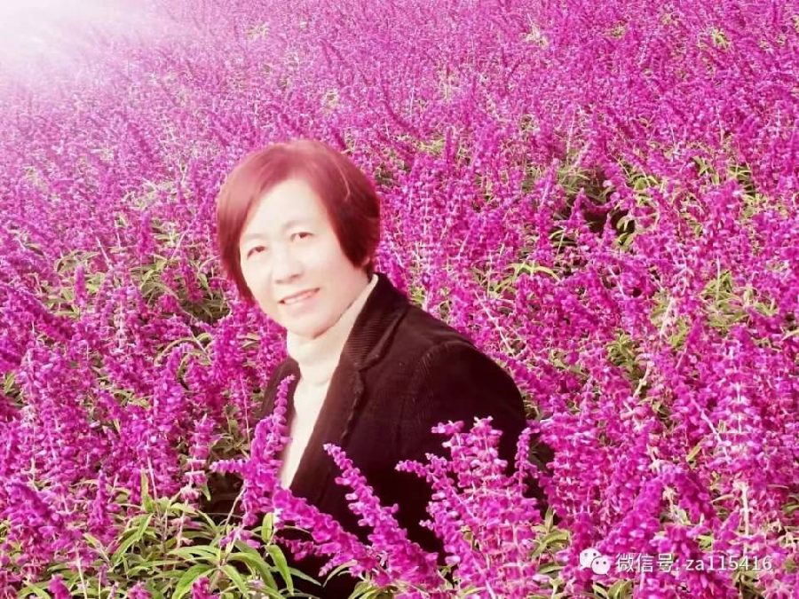 【公益爱心.宏红文学社】‖ 作者:管亚君| 主播:宏红 月娥 章鱼哥 王依鏻【第73期】审核:宏红(图18)