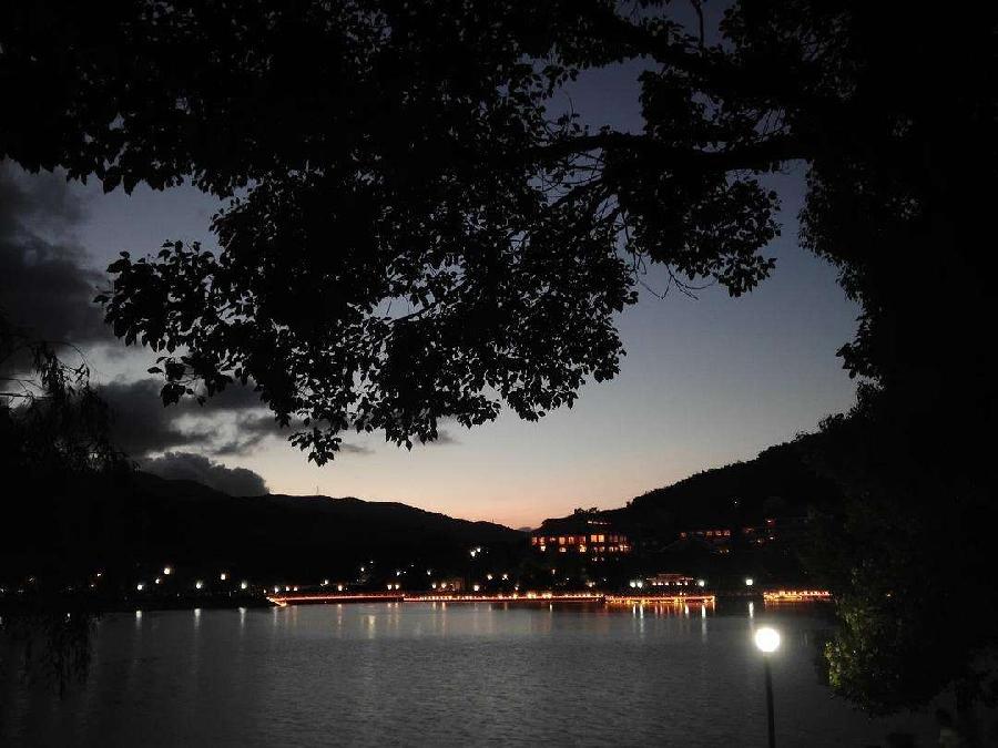 深夜虫鸣(外一首)文/乐道(广东)【冰心文化传媒】(图3)