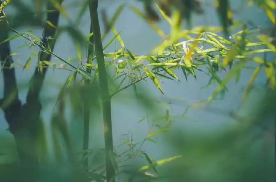 方台钓韵 | 2022年第33期/总第509期（图4）