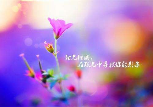 *追 忆*(散文诗)文/康健【冰心文化传媒】(图4)