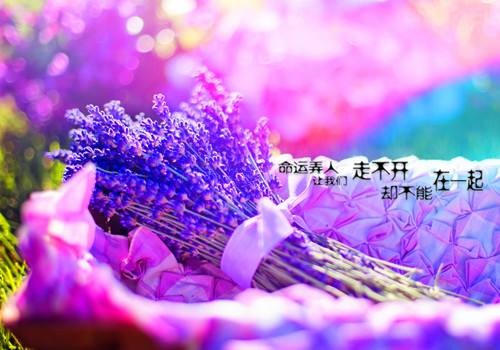 *追 忆*(散文诗)文/康健【冰心文化传媒】(图3)