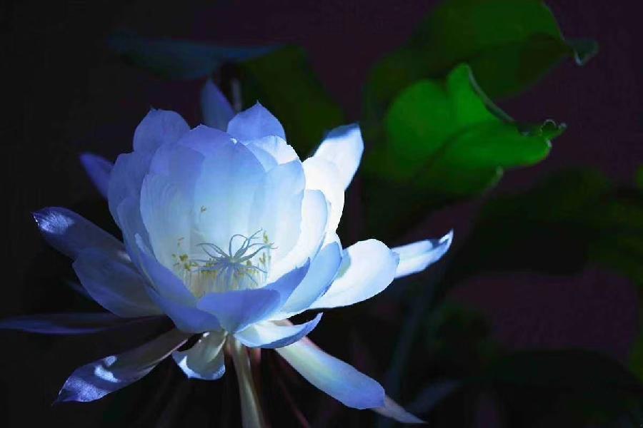 《江南诗絮-0532-古韵》(图7)