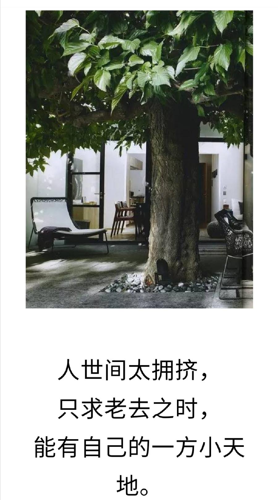 老来有个小院，回归平淡生活，不胜欢欣（图2）