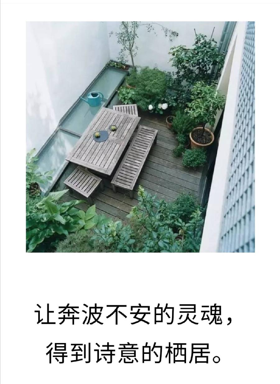 老来有个小院，回归平淡生活，不胜欢欣（图3）