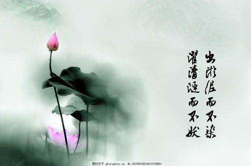 金華八詠詩社张尚富老师佳作欣赏！（图3）