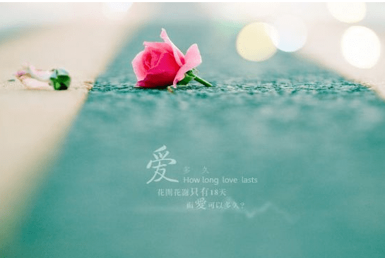 〔诗词小辑〕作者 陈行昭(湖北)【冰心文化传媒】(图4)