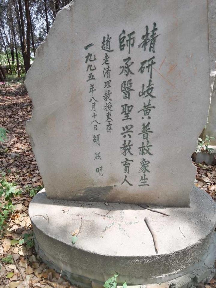 【雅诗总会】走近“万寿堂”：探寻中医药学中华（图7）