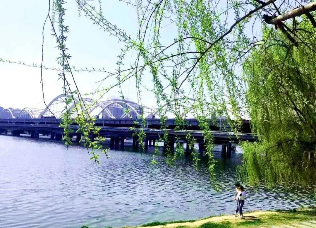 【潇湘文学社】潇湘风荷联社《对句练习》（总366期）（图13）
