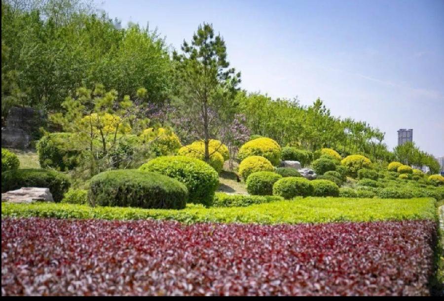 施伟远诗歌《北山诗两首》主播：晨光暖阳 编辑：小鱼儿 【北疆头条】（第231期）（图2）