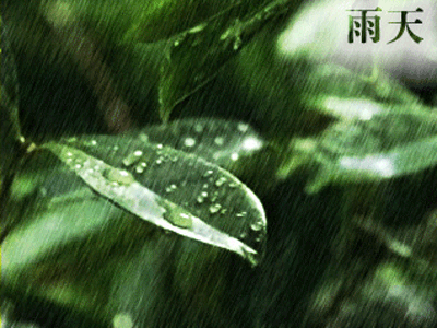 《春雨最美的水 》作者：胡乃华 主播心里的鱼 编辑宋梅【中国长江文学社】有 声文学平台第3852期（图3）