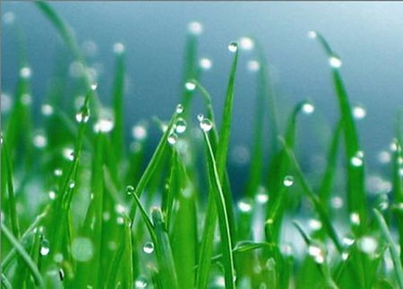 《春雨最美的水 》作者：胡乃华 主播心里的鱼 编辑宋梅【中国长江文学社】有 声文学平台第3852期（图6）