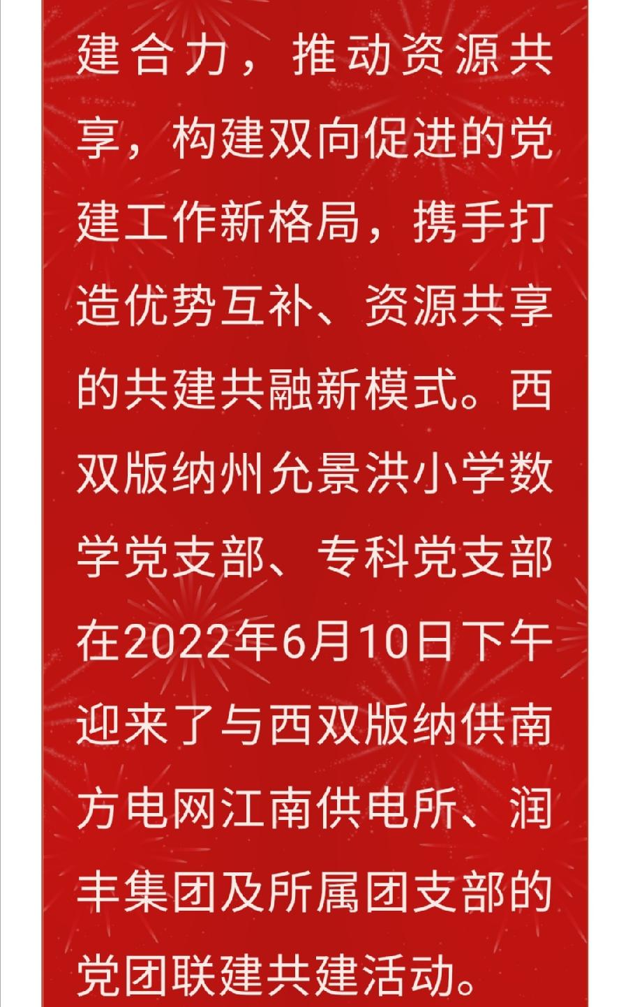 【允美党建】党建联建强堡垒 携手共进促发展（图2）