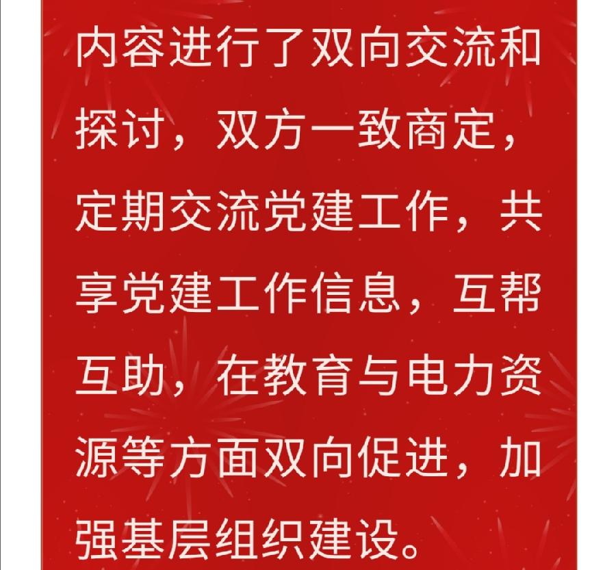 【允美党建】党建联建强堡垒 携手共进促发展（图4）