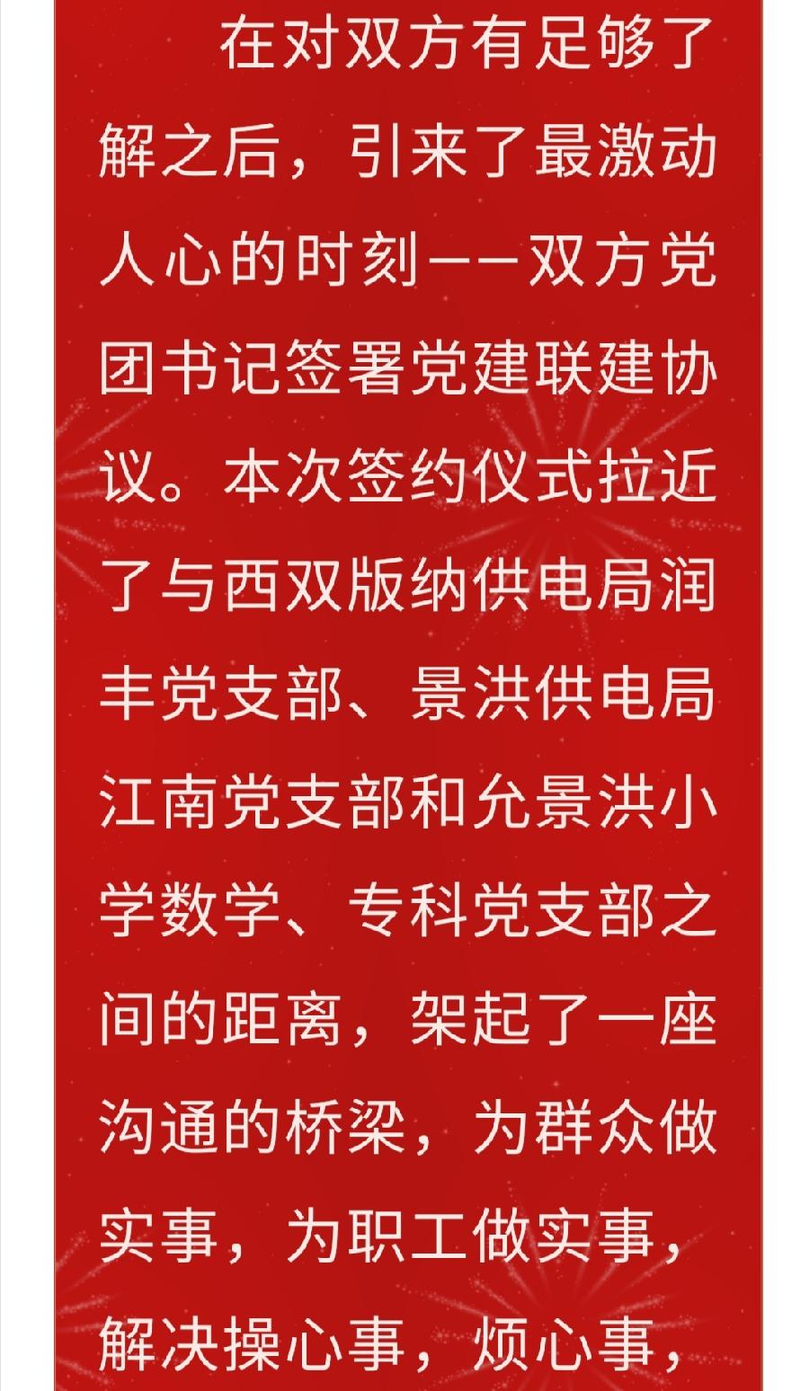 【允美党建】党建联建强堡垒 携手共进促发展（图9）