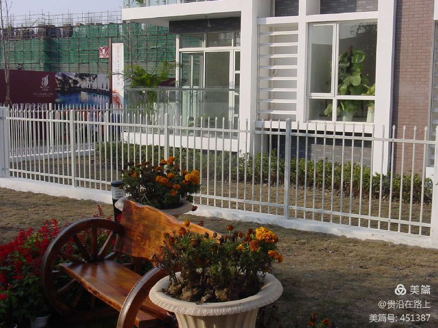 中国不缺《朗读者》，中国最缺“赛先生……（图6）