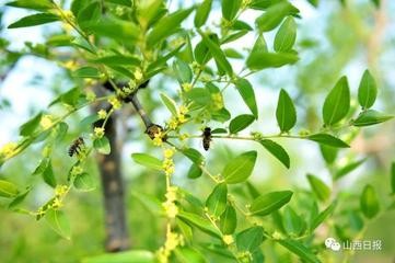联机全球发布于金奎精品诗歌（图30）
