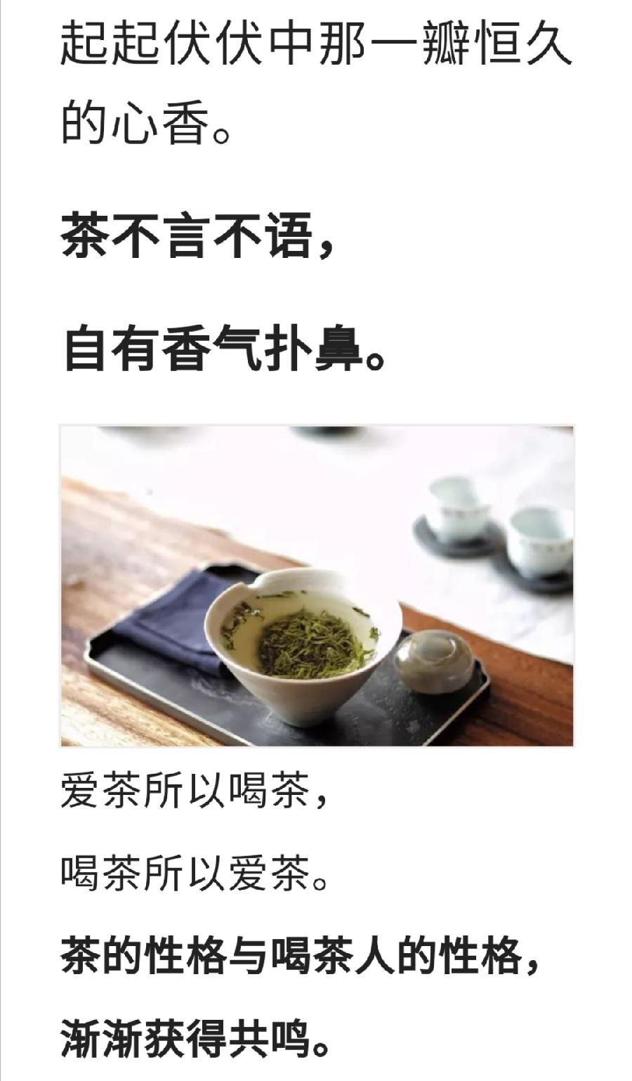 一杯茶，让你我冷静地对待世界（图4）