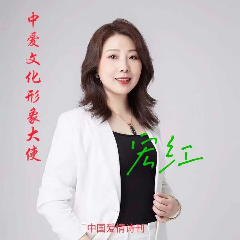 【诗人档案】诗人宏红的诗【第4期】组稿：灿灿 审核：宏红（图21）