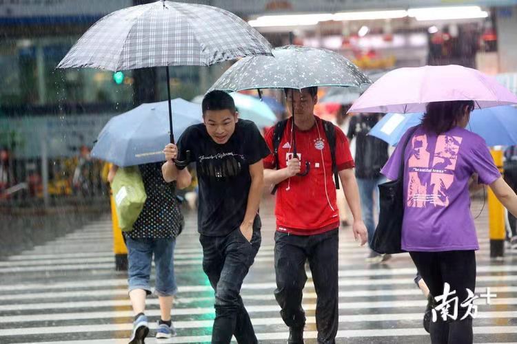 古风《雨中行》文/田苑（图3）
