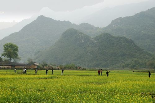 词二首/文/余南才（安徽）（图2）