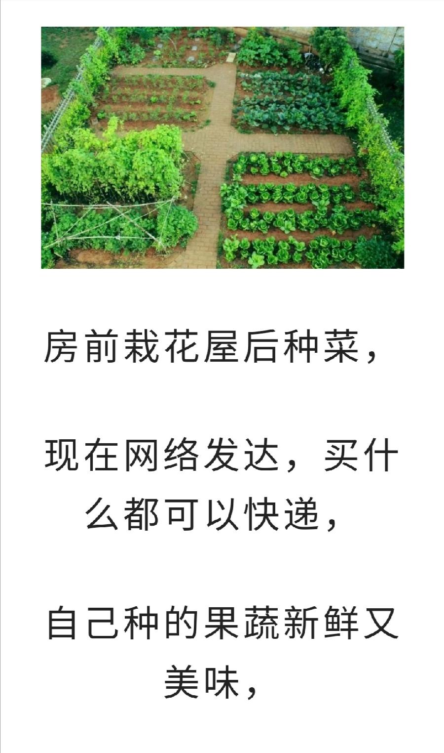 后半生，寻一处小院，退出江湖……普洱茶界（图4）