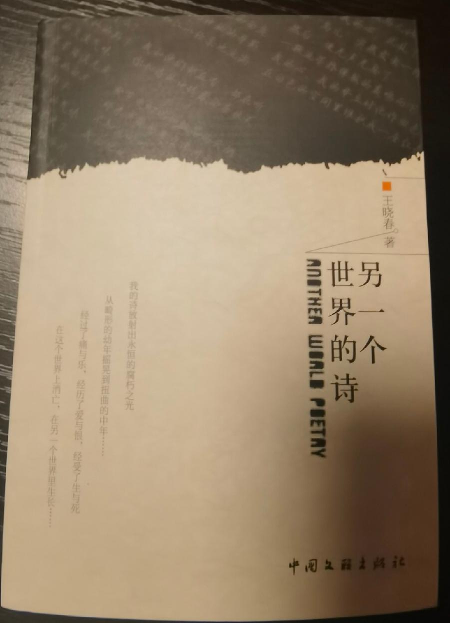 【诗人档案】诗人宏红的诗【第4期】组稿：灿灿 审核：宏红（图36）
