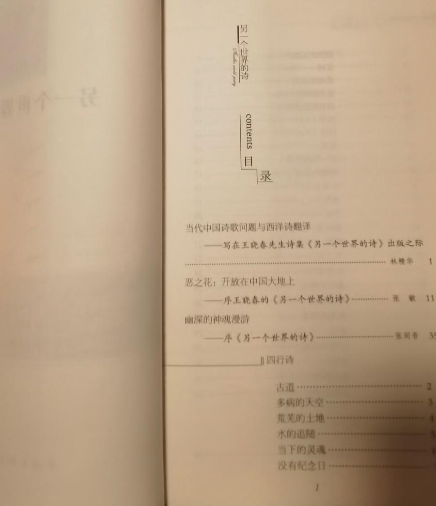 【诗人档案】诗人宏红的诗【第4期】组稿：灿灿 审核：宏红（图37）