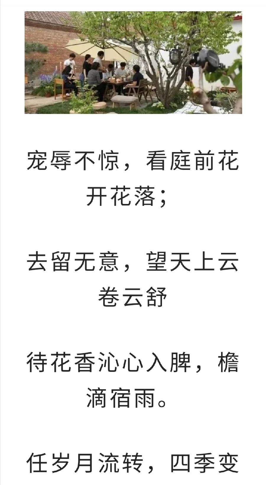 后半生，寻一处小院，退出江湖……普洱茶界（图11）