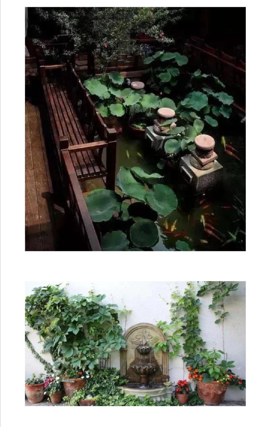 后半生，寻一处小院，退出江湖……普洱茶界（图23）
