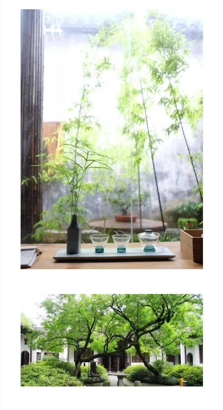 后半生，寻一处小院，退出江湖……普洱茶界（图25）