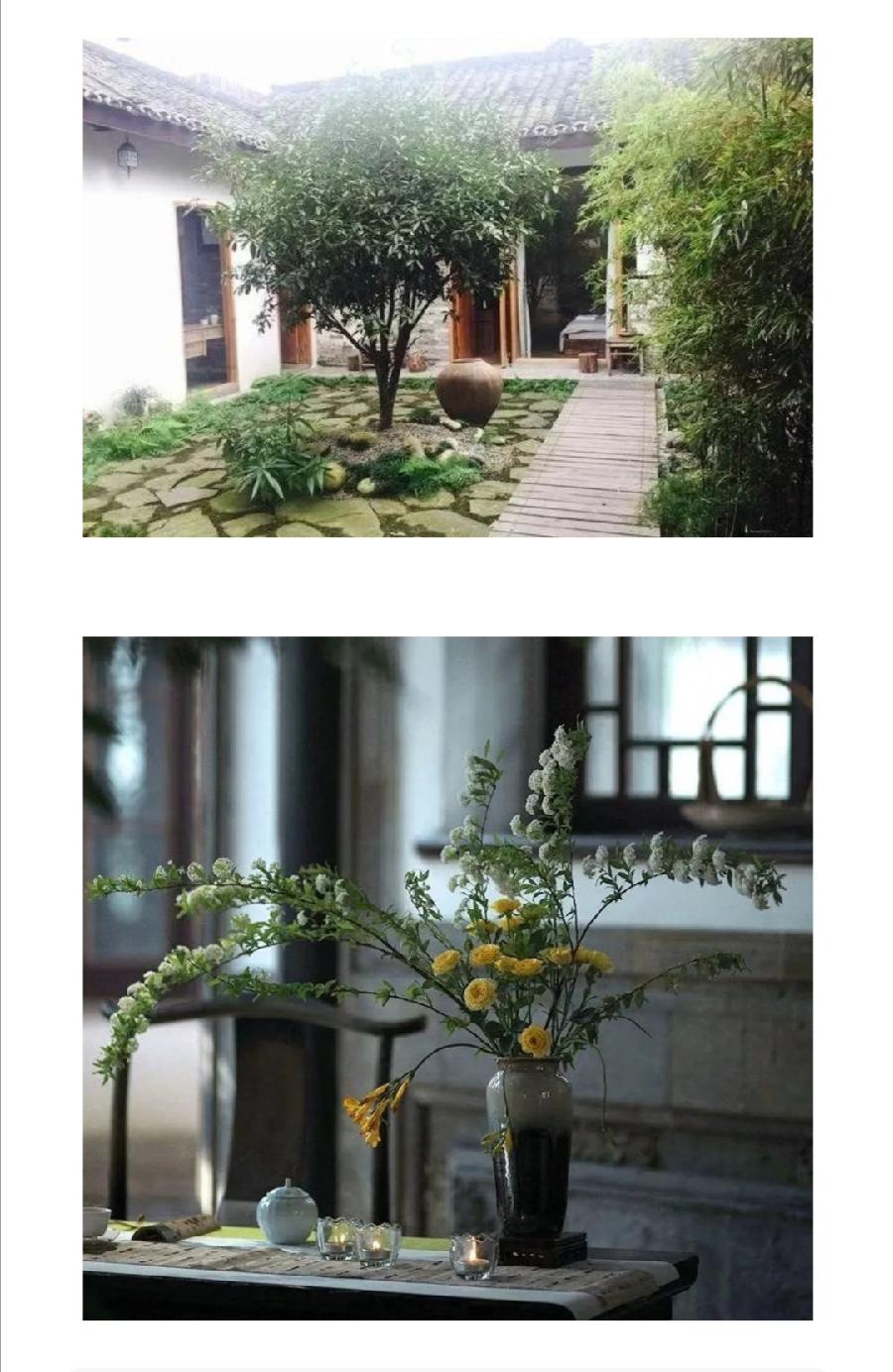 后半生，寻一处小院，退出江湖……普洱茶界（图29）