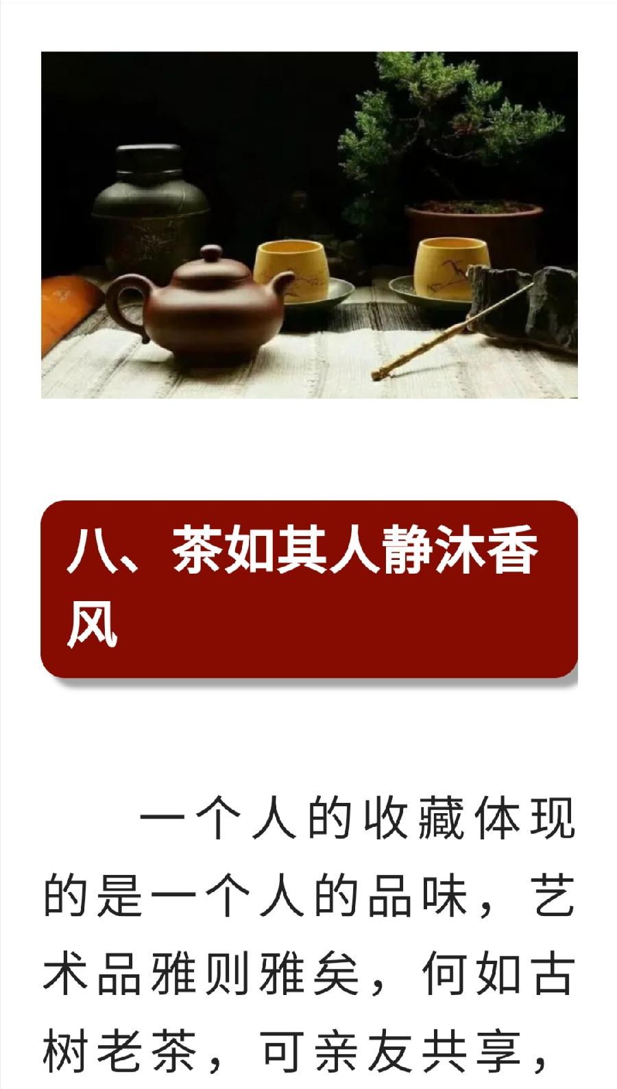 为什么要存茶 10条理由够不够普洱茶界（图17）