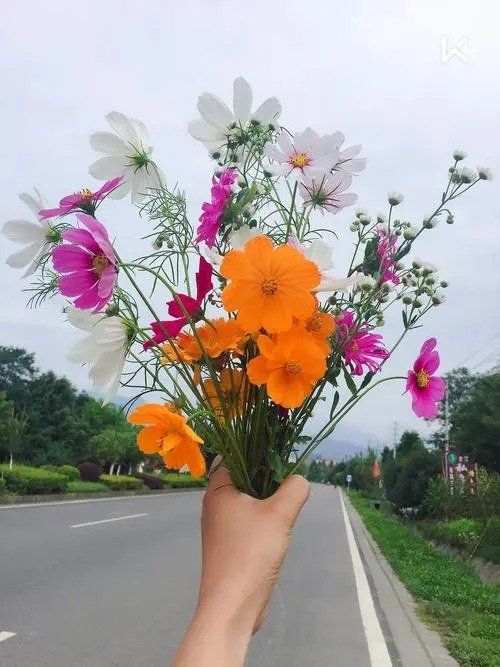 刘林丽诗歌作品177期《饮一杯520的美酒》 主播春姗如笑 编辑制作刘林丽(图7)