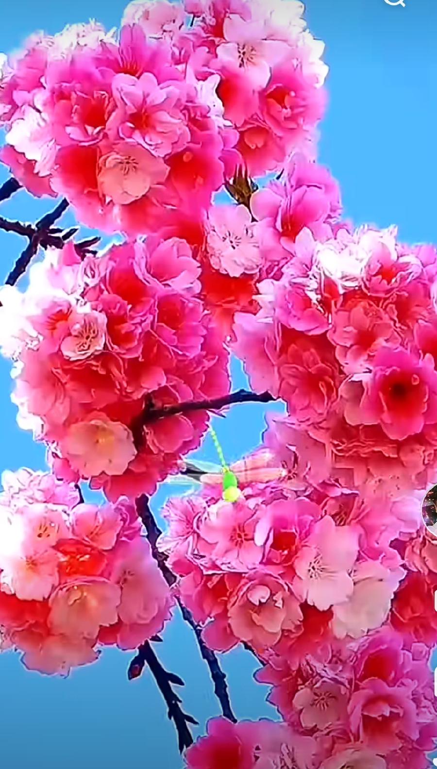 【佳作分享】黄兴民《七律•观涛有感》请欣赏（图14）