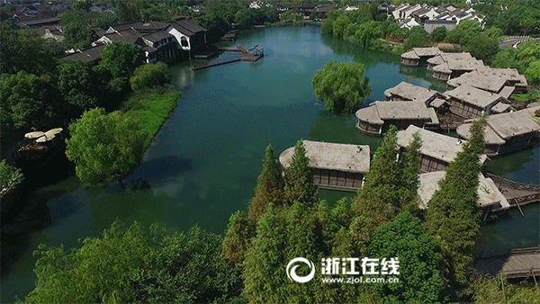 【枫雅汇看图约诗】诗人陈江《150期》（水墨乌镇）（图9）