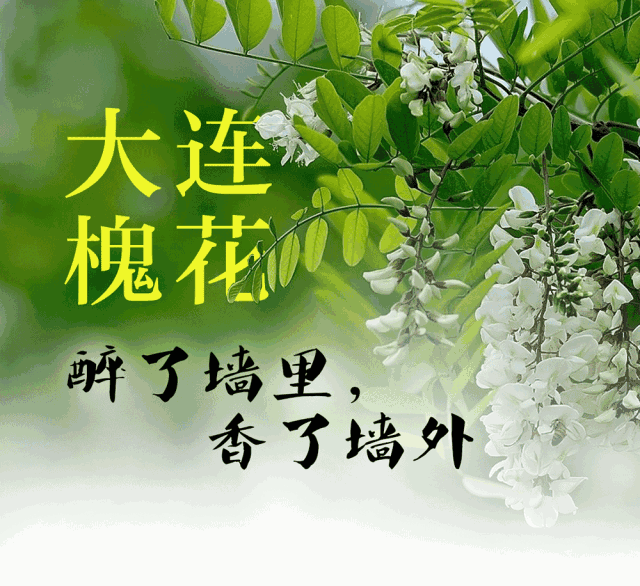 【潇湘文学社】潇湘紫竹诗社《368期》（随吟）（图5）