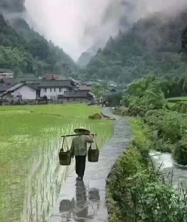【诗生活】山贼‖山里的父亲
