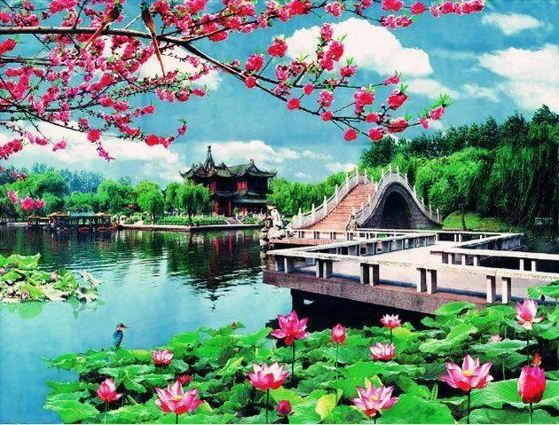 【新山东文学社】《初夏绣江》作者/牛东 主播/艳明（图4）