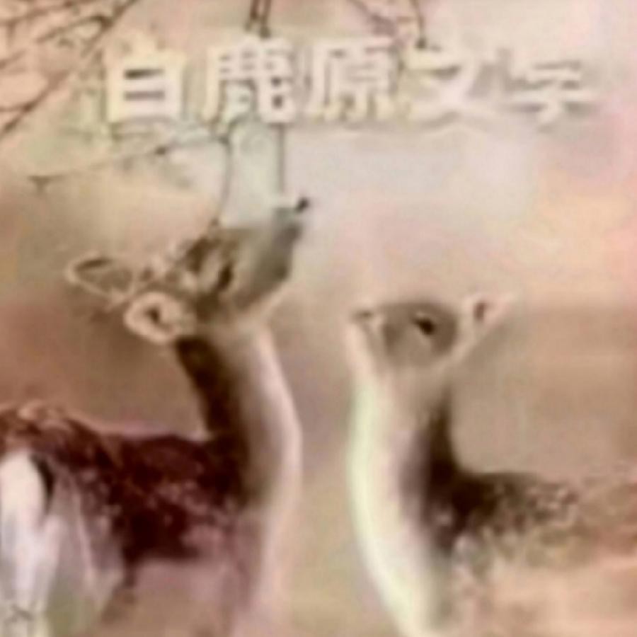 【白鹿原文学院】‖ 《平安与尊严》作者：陈言齐| 主播：宏红【第1期】审核：宏红（图22）