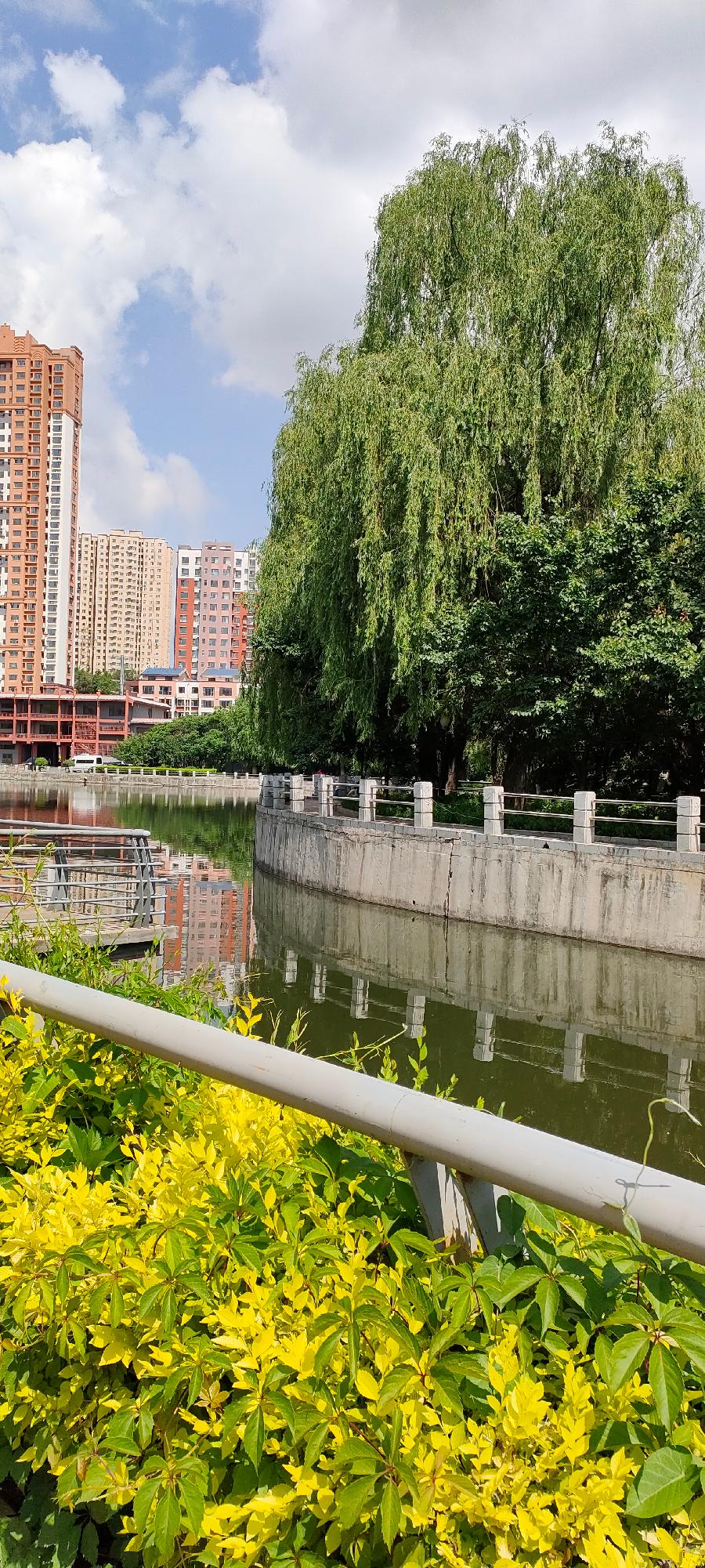 开心夏天 作者诗韵（图3）