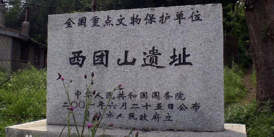 开心夏天 作者诗韵（图14）