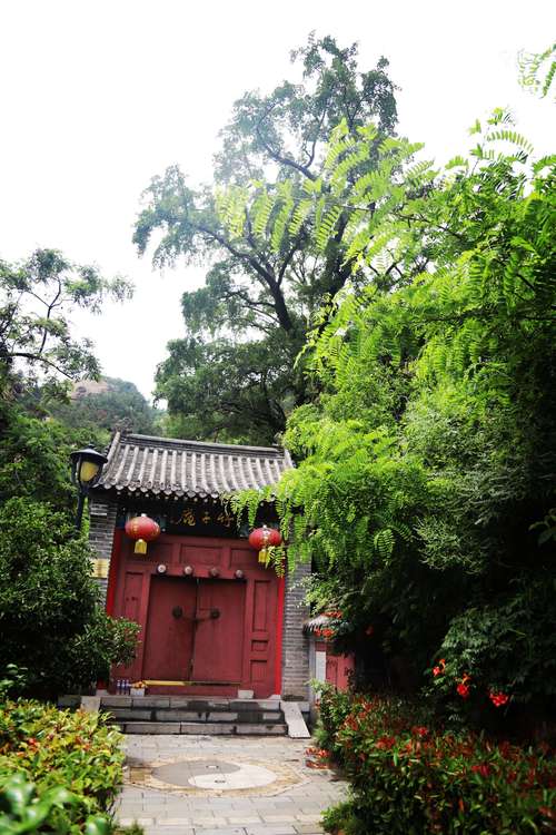【新山东文学社】《写在崂山（四首）》作者/于向阳 主播/竹林听雨（图8）