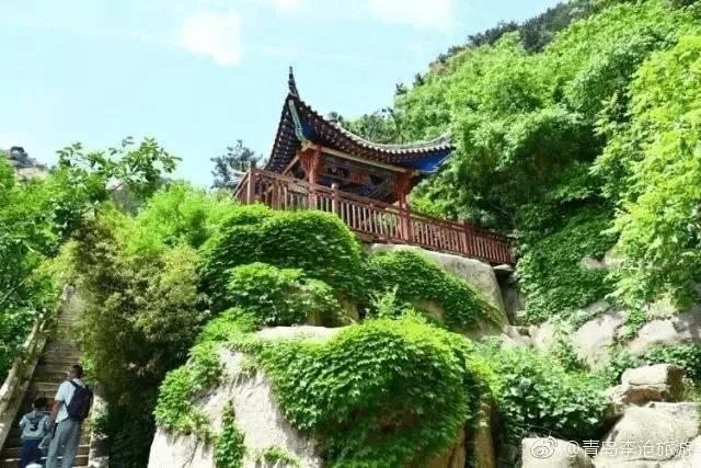 【新山东文学社】《写在崂山(四首)》作者/于向阳 主播/竹林听雨(图7)