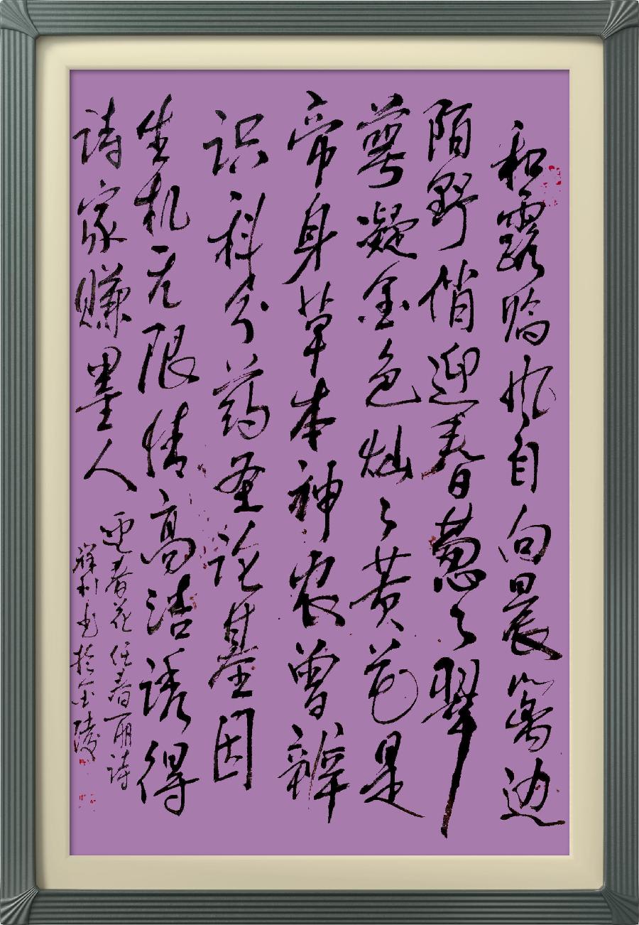 连云区星火诗社九十期个人专辑《文艺总监一任春丽》(图12)